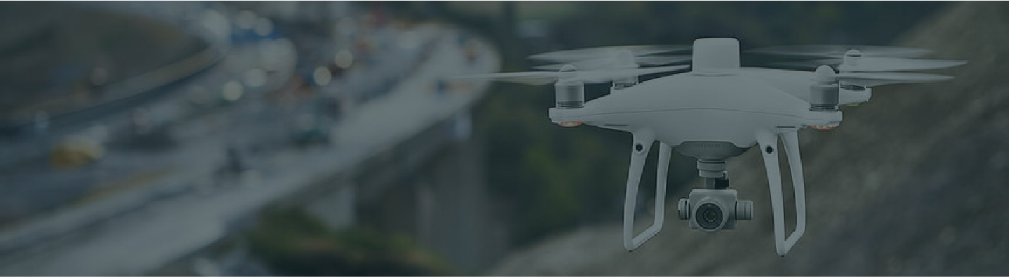 Drone Survey